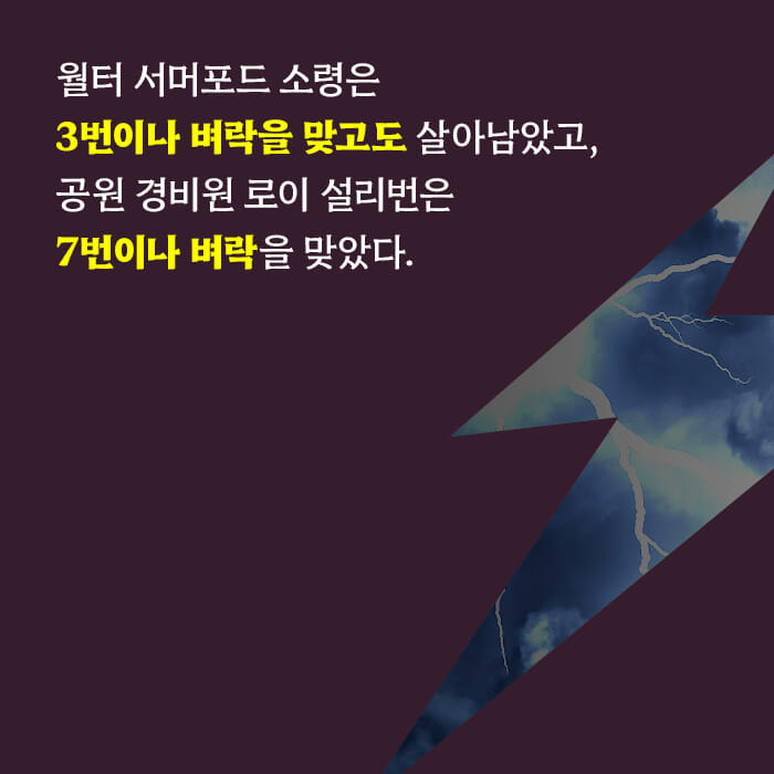 카드뉴스5