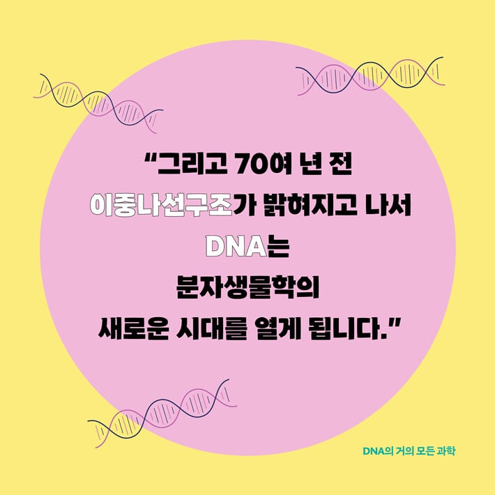 카드뉴스3