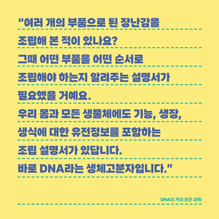 카드뉴스4