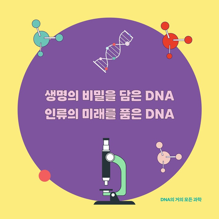 카드뉴스5