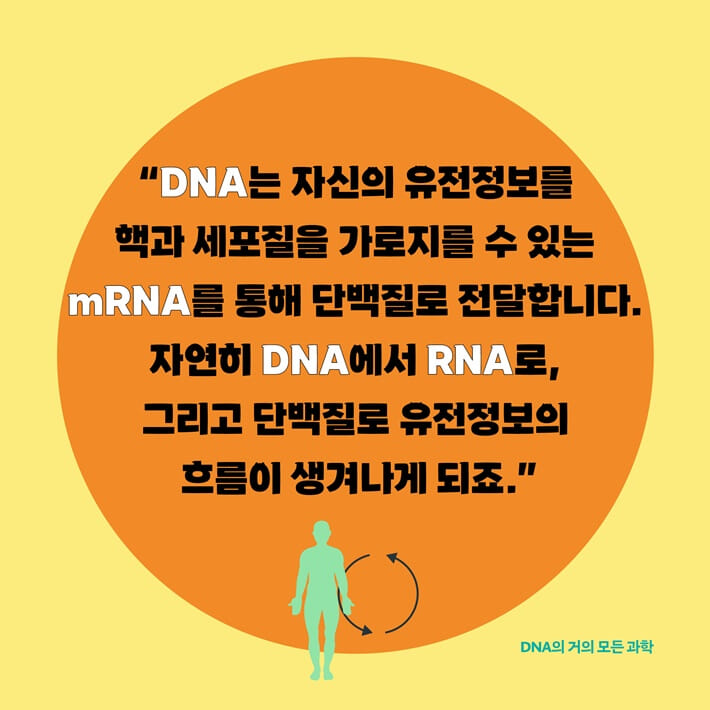 카드뉴스6