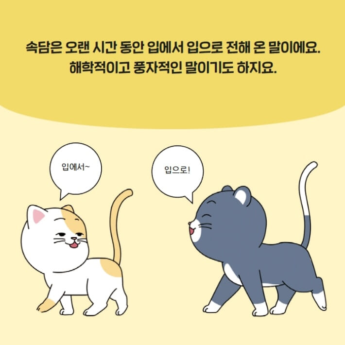 카드뉴스2