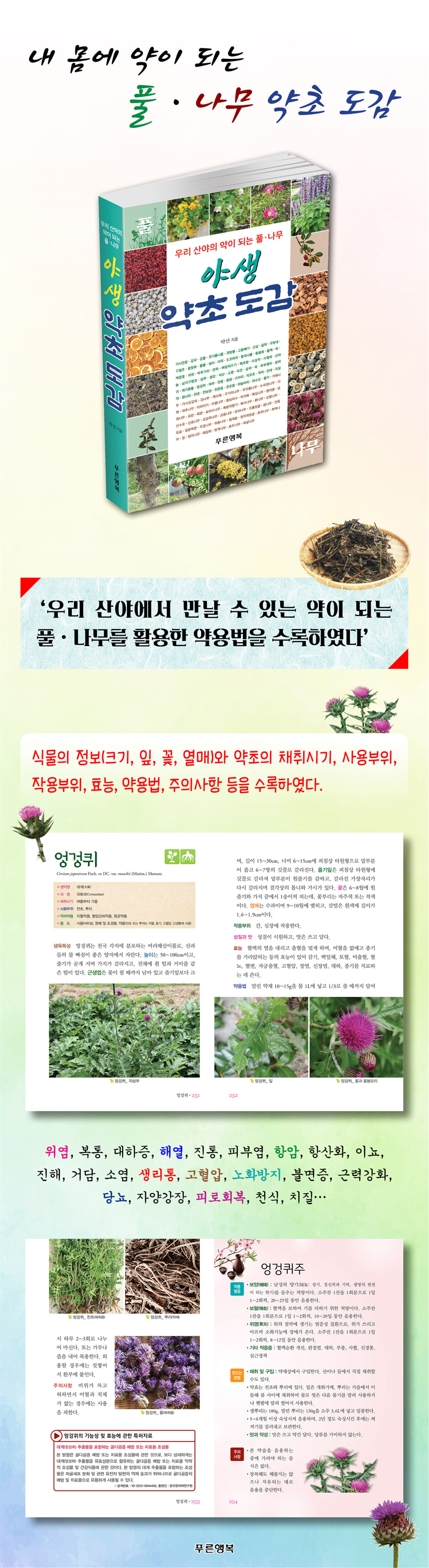상세 이미지 1