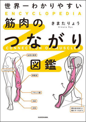 世界一わかりやすい筋肉のつながり圖鑑