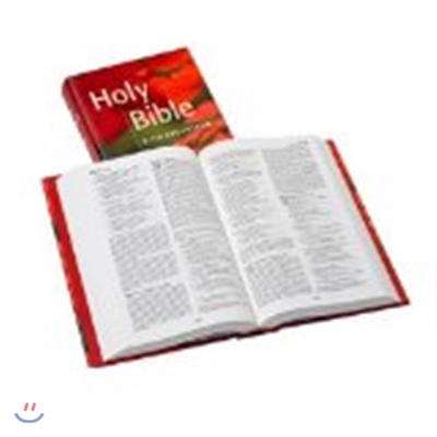 Popular Text Bible-NRSV