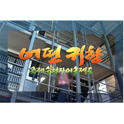 어떤 귀향 국제 수형자 이송제도 (1 disc)