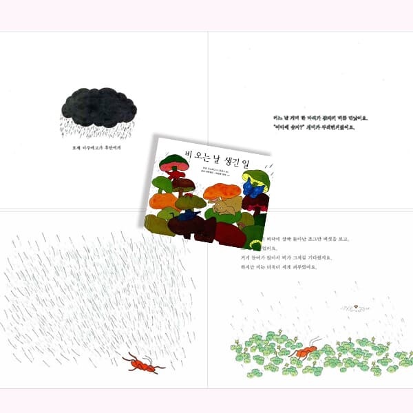비룡소 4-7세 4월 추천도서 (봄의변화 식물동물) 5권세트