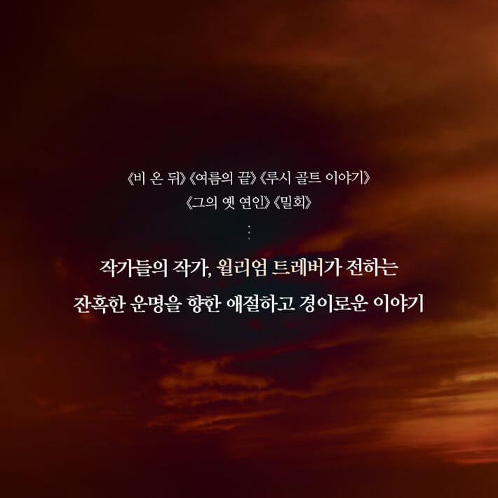 카드뉴스7