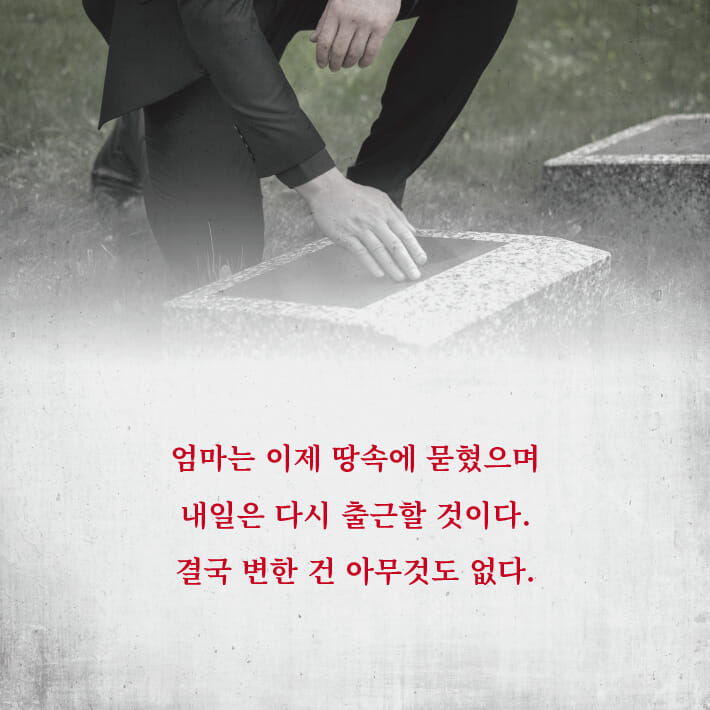 카드뉴스5