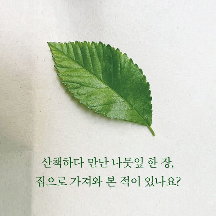 카드뉴스1