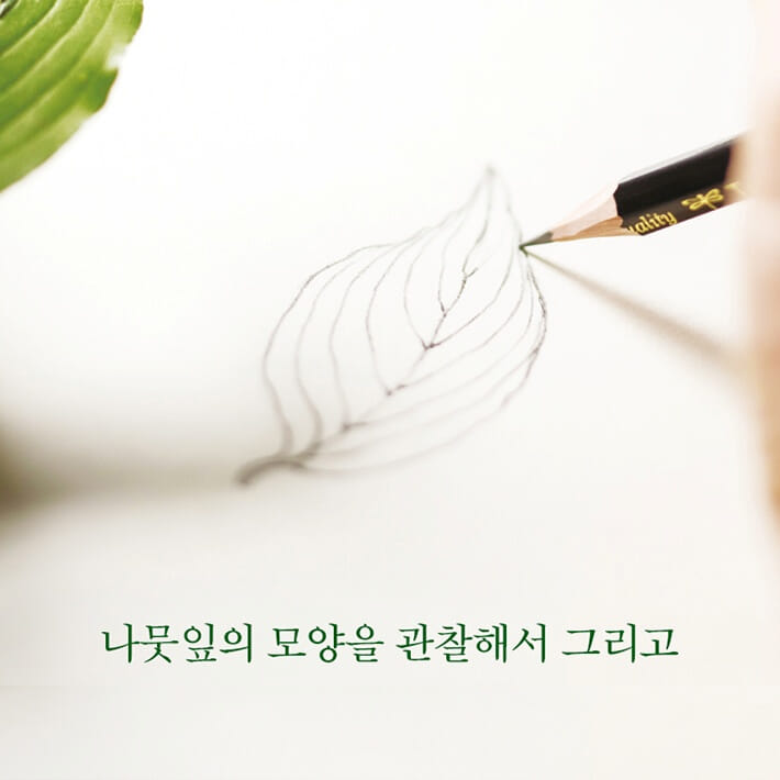 카드뉴스2