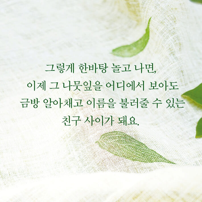 카드뉴스7