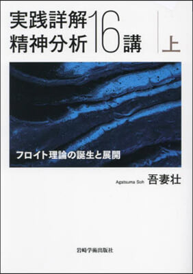 實踐詳解精神分析16講 上