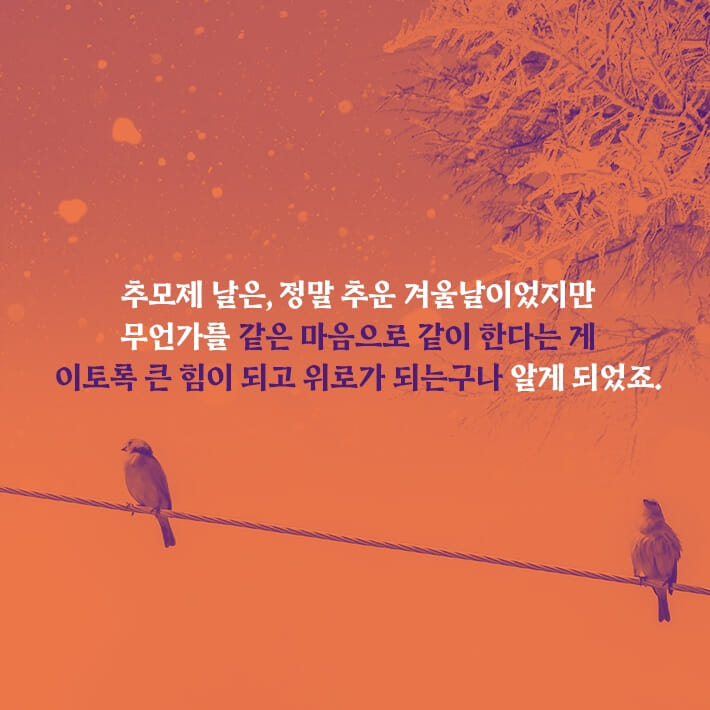 카드뉴스6