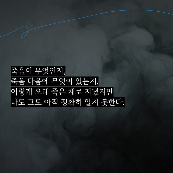 카드뉴스1
