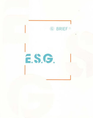 E.S.G. G-BRIEF ①