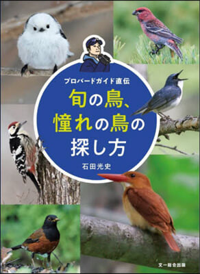 旬の鳥,憧れの鳥の探し方