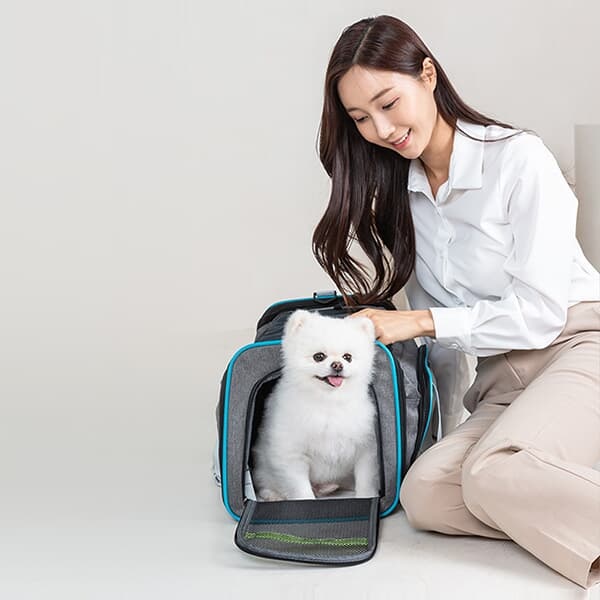 [레토] 강아지 이동가방 고양이가방 이동장 메쉬 슬링백 LDD-M02