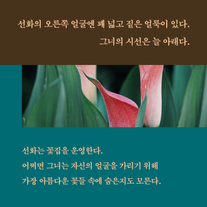 카드뉴스2