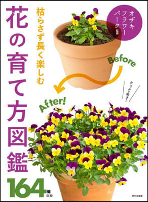 枯らさず長く樂しむ花の育て方圖鑑