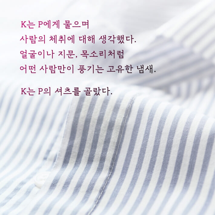 카드뉴스5