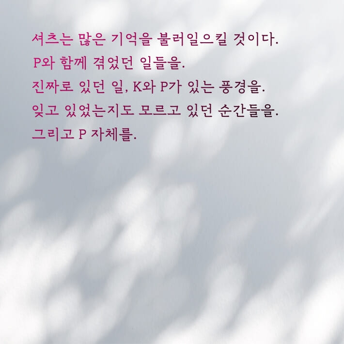 카드뉴스6