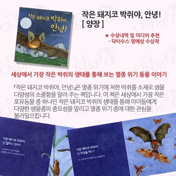 비룡소 과학 그림동화 24권세트/상품권1만