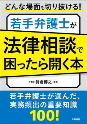 若手弁護士が法律相談で困ったら開く本