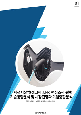 이차전지산업(전고체 LFP 핵심소재)관련 기술동향분석 및 시장전망과 기업종합분석