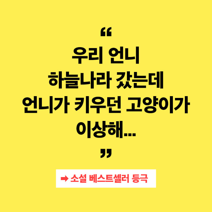 카드뉴스3