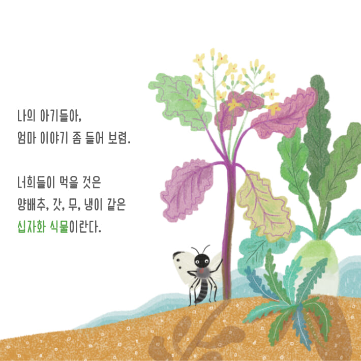 카드뉴스