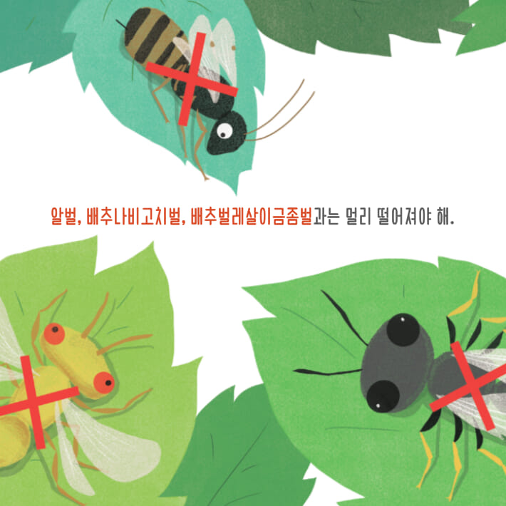 카드뉴스
