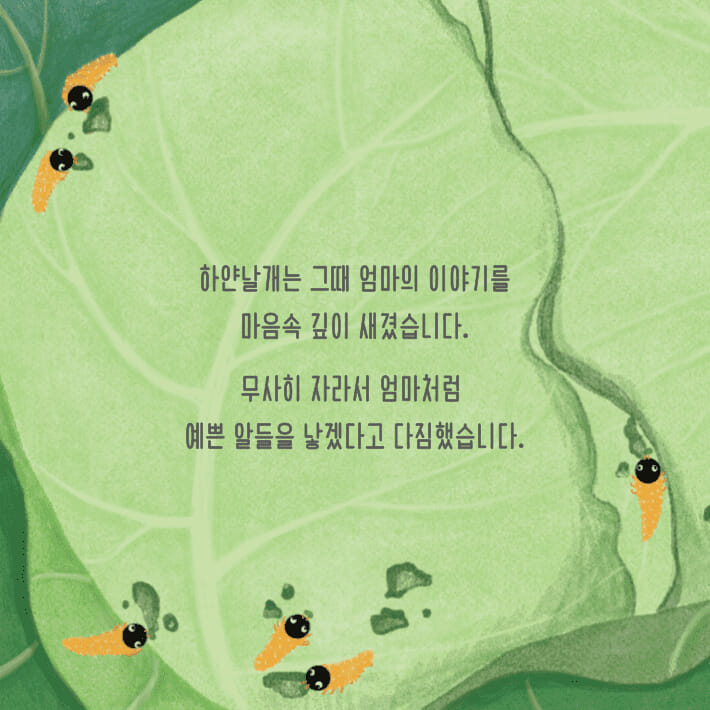 카드뉴스