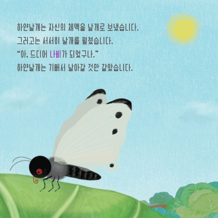 카드뉴스