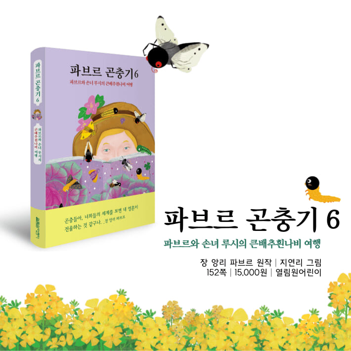 카드뉴스