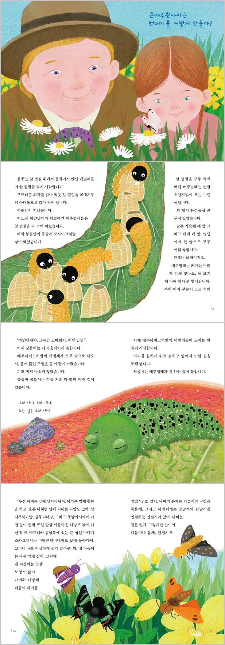 상세 이미지