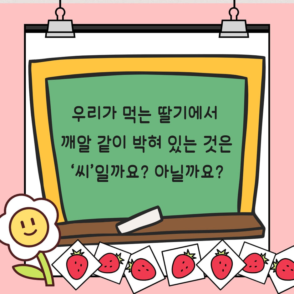 카드뉴스3
