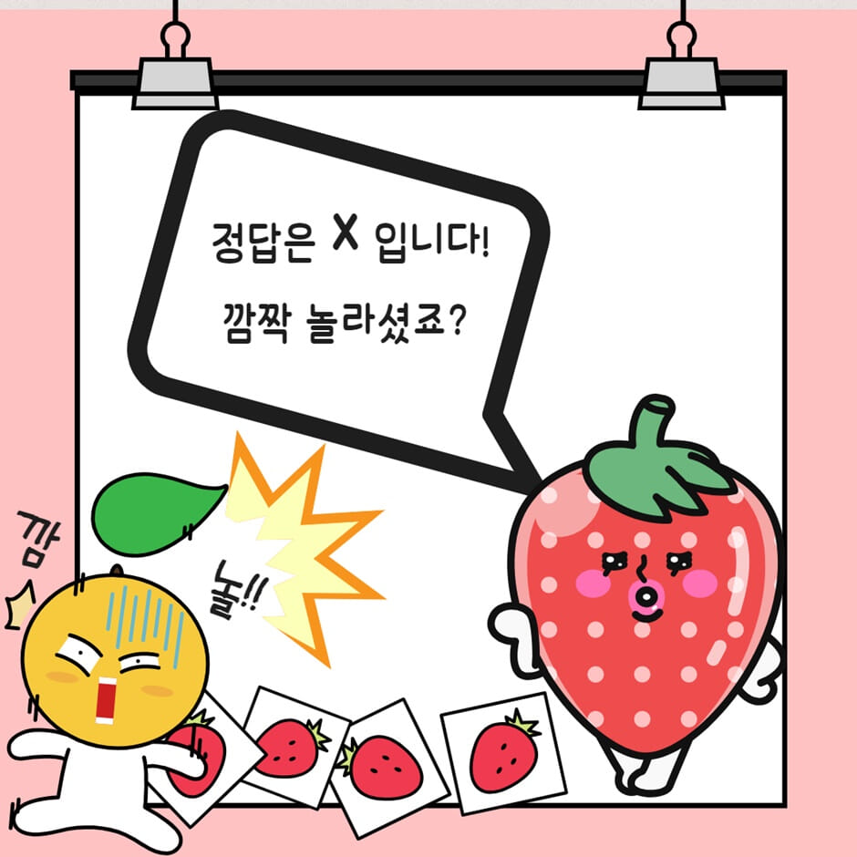 카드뉴스5