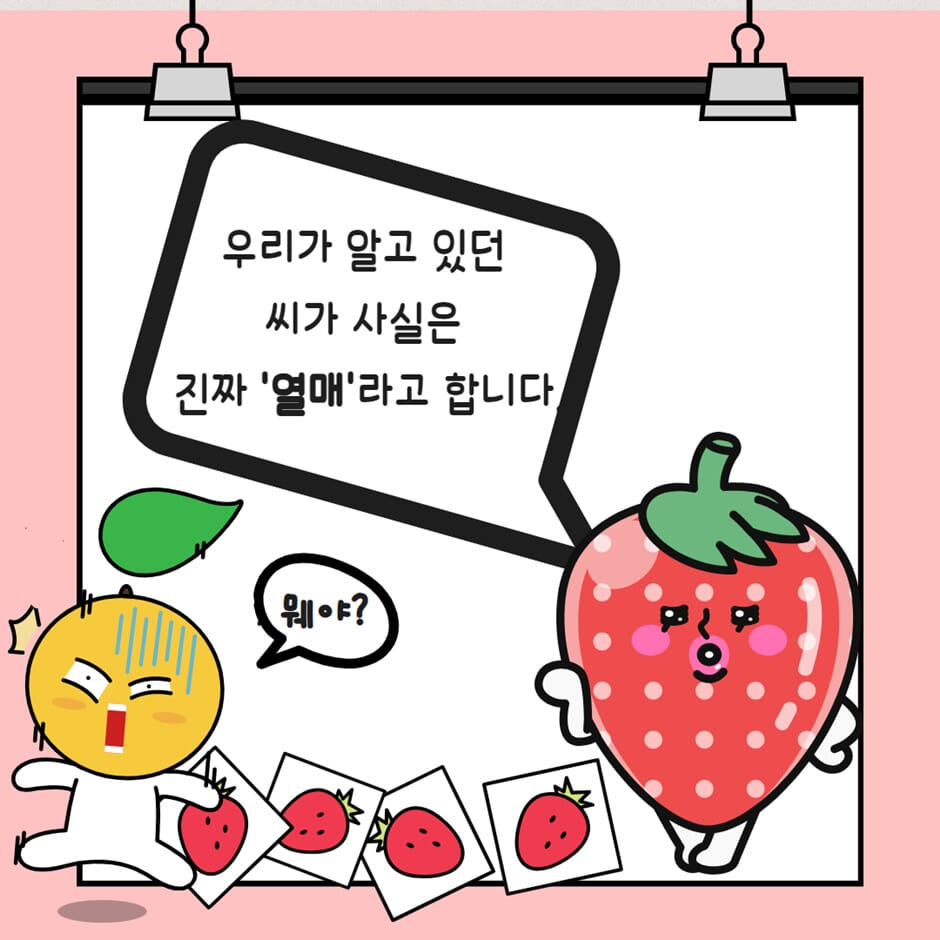 카드뉴스6