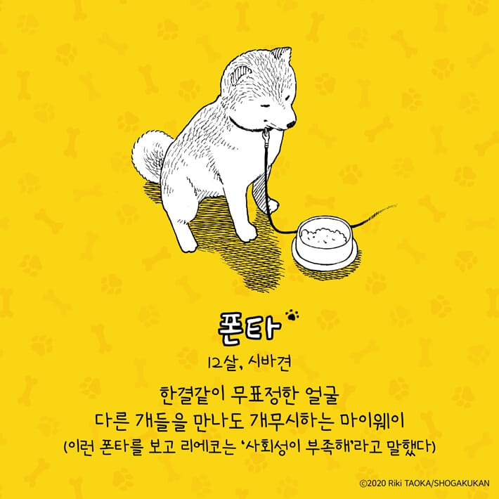폰타와 오늘의 산책 2 - 예스24
