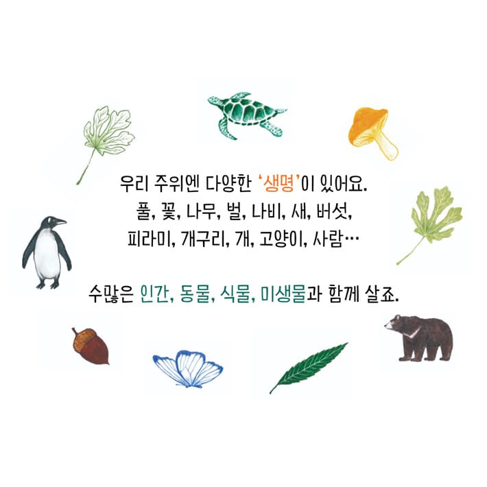 카드뉴스1