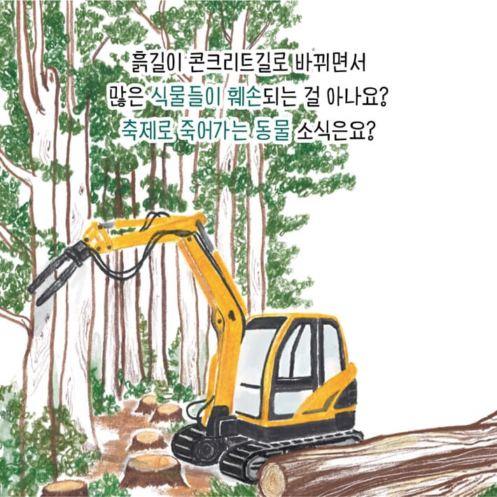 카드뉴스4
