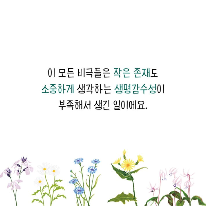 카드뉴스5
