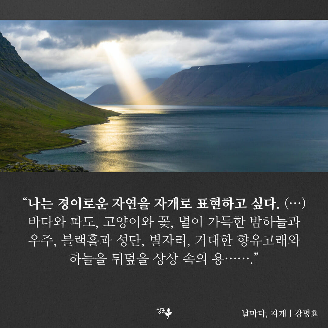카드뉴스2
