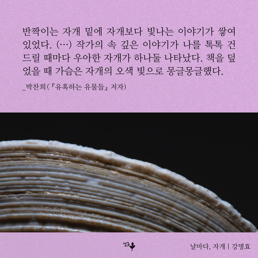 카드뉴스5
