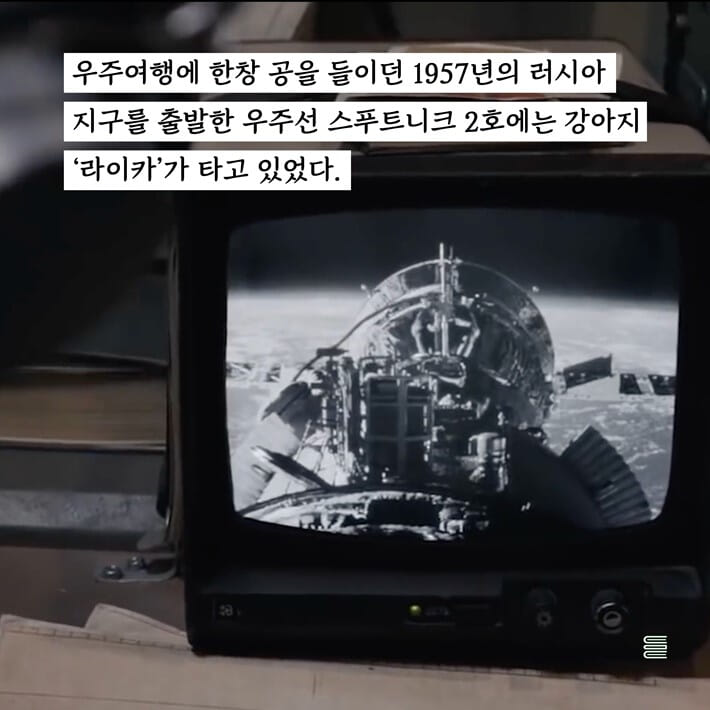 카드뉴스1