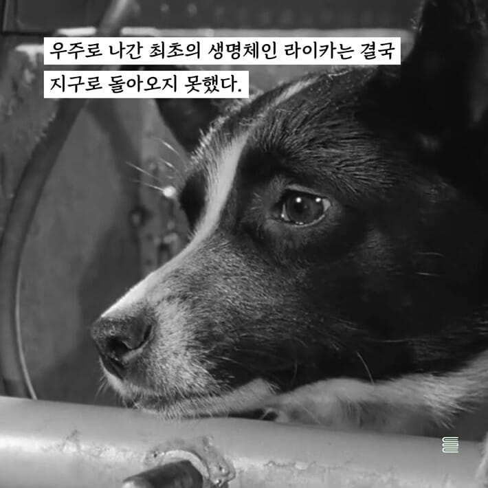 카드뉴스2