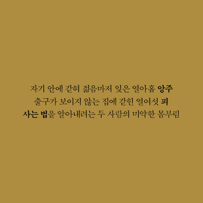 카드뉴스9