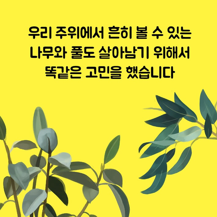 카드뉴스3