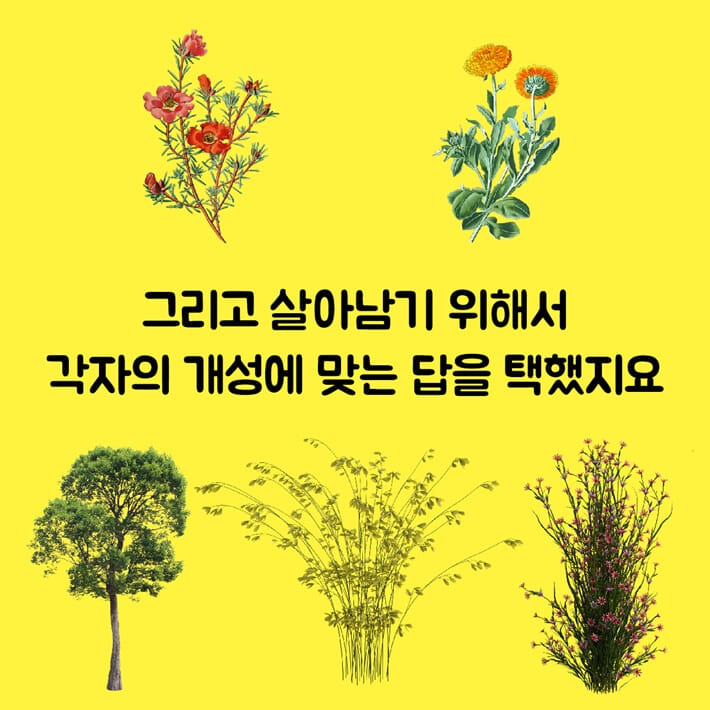 카드뉴스4